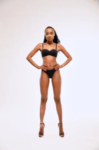 Model Stats 